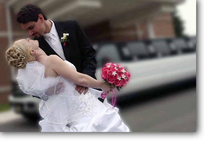 Wedding Video
